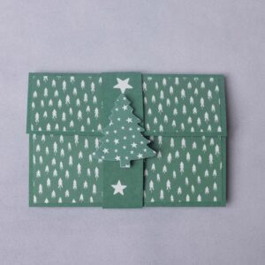 005Tanne_tannengrün