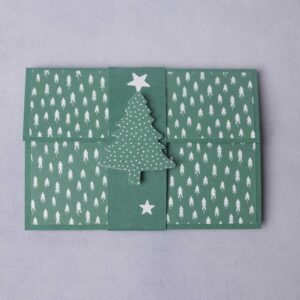 006Tanne_tanngengrün 006Tanne_tannengrün