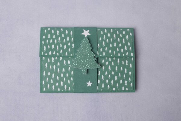 006Tanne_tanngengrün 006Tanne_tannengrün