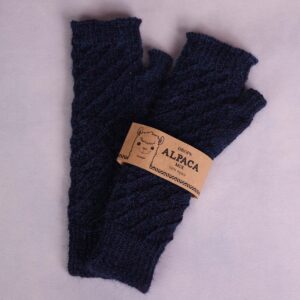 Stu015_Alp