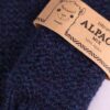 Stu017_Alp_det